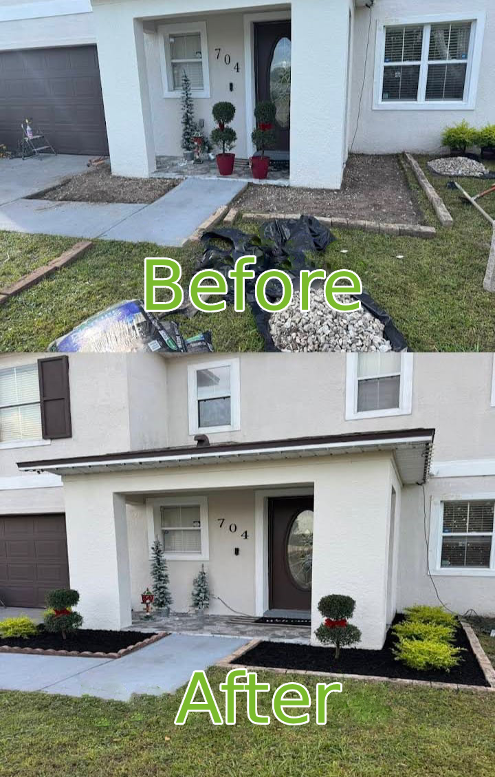 Before & After lawn transformation 1